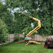 Best Tree Disease Treatment  in Seminole, FL